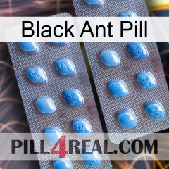 Black Ant Pill viagra4